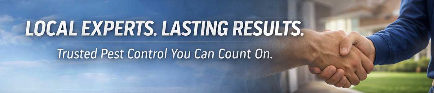 Affordable Bug Service Near Me in Bloomington, IL