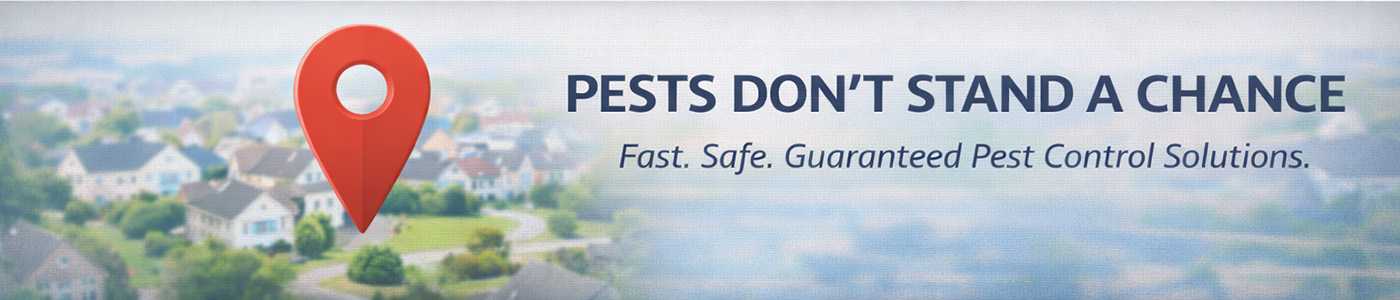 Affordable Bug Service Near Me in Memphis, TN