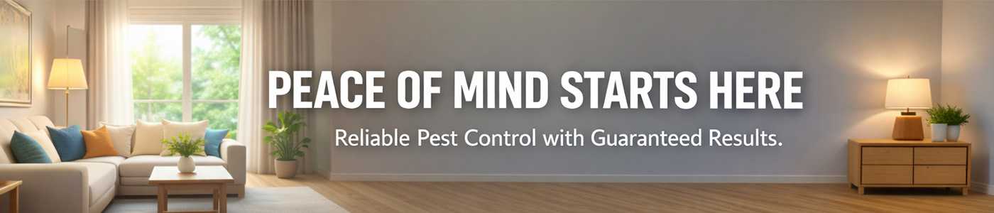 Affordable Bug Service Near Me in Greenville, NC