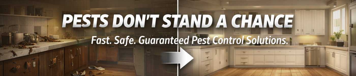 Affordable Bug Service Near Me in Fairfield, CA