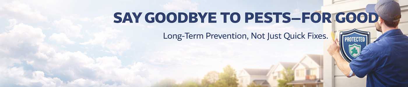 Affordable Bug Service Near Me in Hesperia, CA