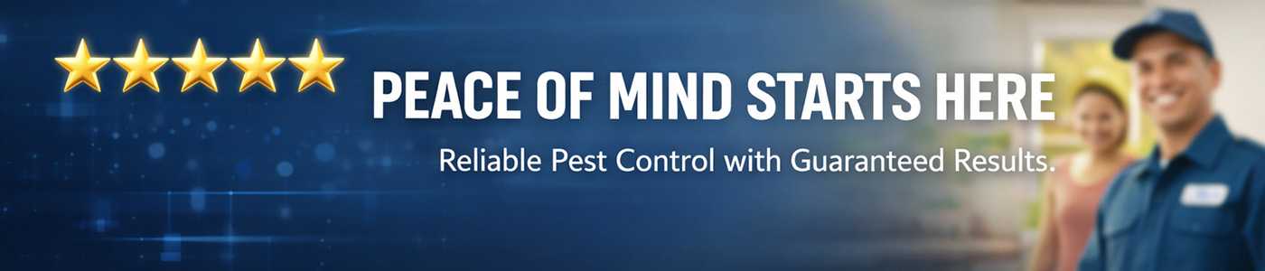 Affordable Bug Service Near Me in Bend, OR